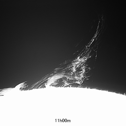 2/28  ﾌﾟﾛﾐﾈﾝｽ拡大