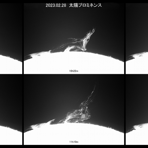 2/28  ﾌﾟﾛﾐﾈﾝｽ