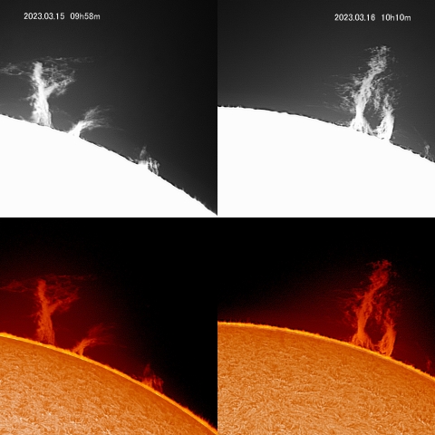 3/15-16  太陽　プロミネンス