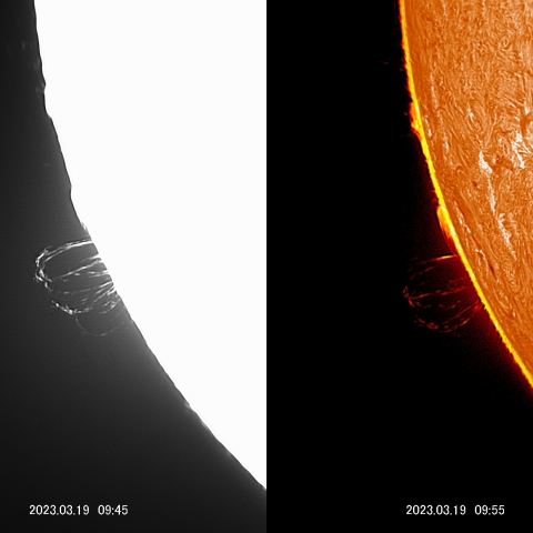 3/19  太陽　プロミネンス