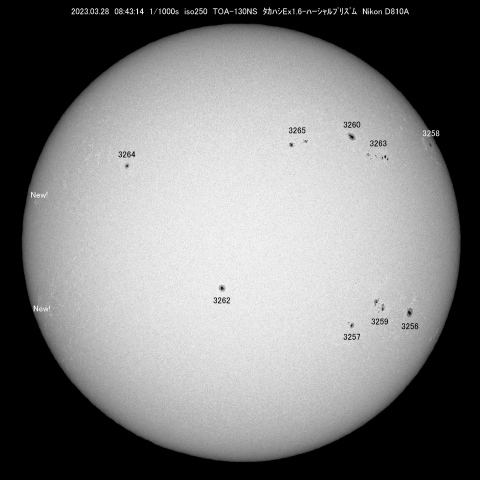 3/28  太陽黒点