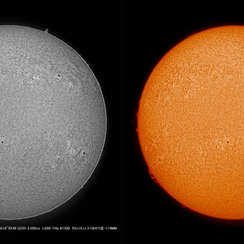 3/28  太陽　Hα　ﾌﾟﾛﾐﾈﾝｽ