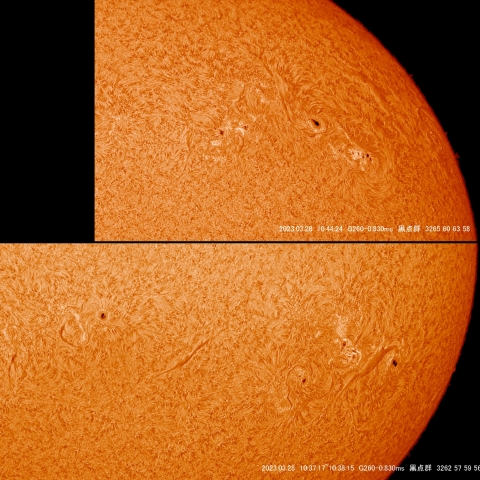 3/28  太陽　Hα　ﾌﾟﾛﾐﾈﾝｽ