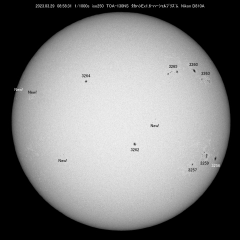 3/29  太陽　黒点