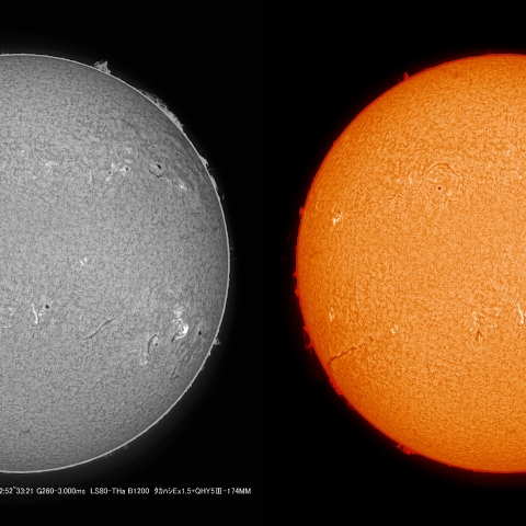 3/29  太陽　Ｈα　プロミネンス