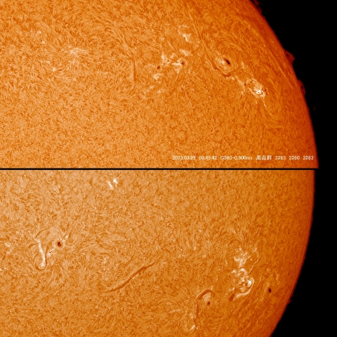 3/29  太陽　Ｈα　プロミネンス