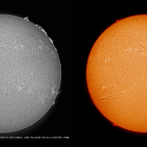 3/30  太陽　Ｈα　プロミネンス
