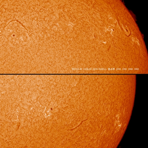 3/30  太陽　Ｈα　プロミネンス