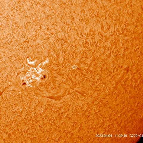 4/4  太陽　Hα　ﾌﾟﾛﾐﾈﾝｽ