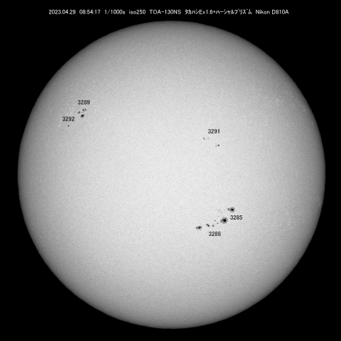 4/29 　太陽  黒点