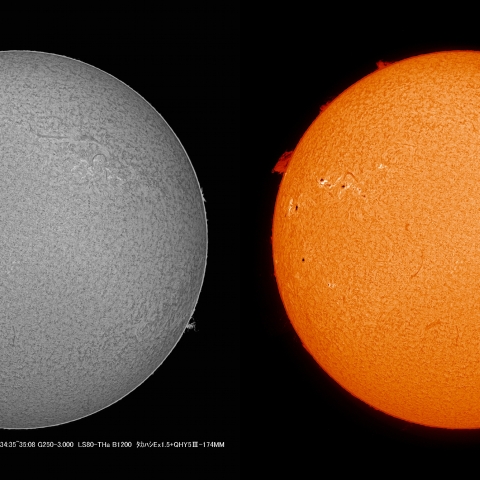 5/4 　太陽 Ｈα  全面