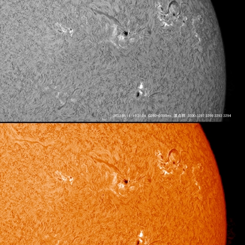 5/11 　 太陽黒点群付近拡大