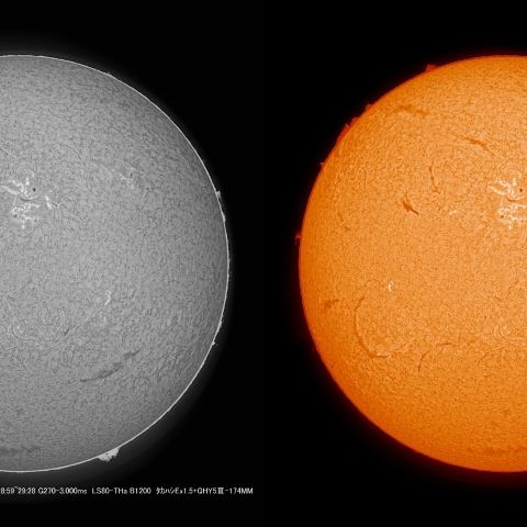 5/16 　 太陽 Ｈα ﾌﾟﾛﾐﾈﾝｽ