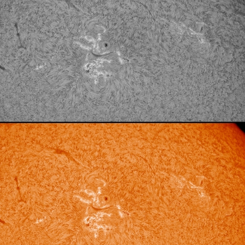 5/16 　 太陽 黒点群付近拡大