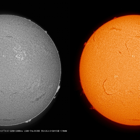 5/17  太陽 Ｈα ﾌﾟﾛﾐﾈﾝｽ