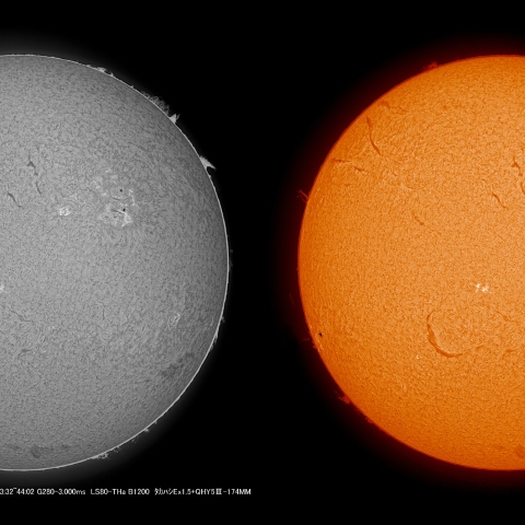 5/18  太陽 Ｈα  ﾌﾟﾛﾐﾈﾝｽ
