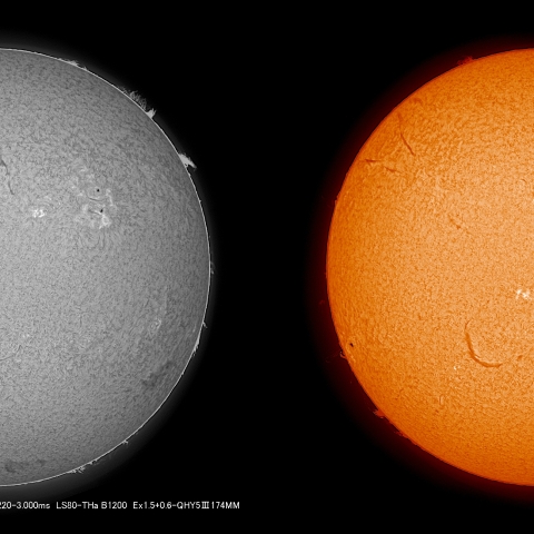 5/18  太陽 Ｈα  ﾌﾟﾛﾐﾈﾝｽ