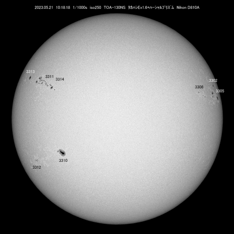5/21  太陽 黒点
