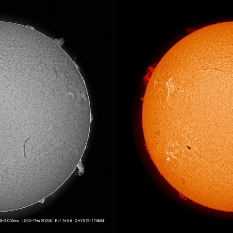 5/21  太陽 Ｈα ﾌﾟﾛﾐﾈﾝｽ