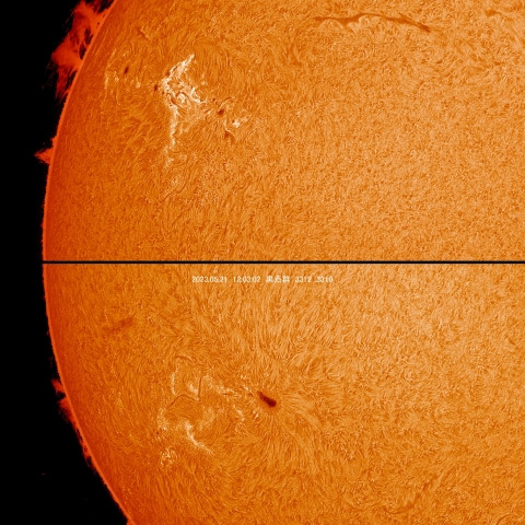 5/21  太陽 黒点群付近拡大