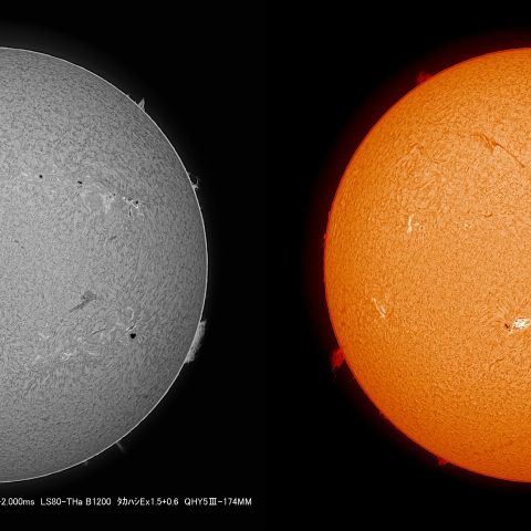 5/27  太陽 Ｈα ﾌﾟﾛﾐﾈﾝｽ