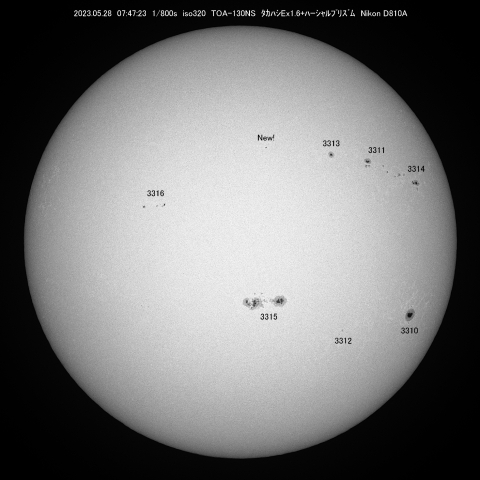 5/28 太陽 黒点