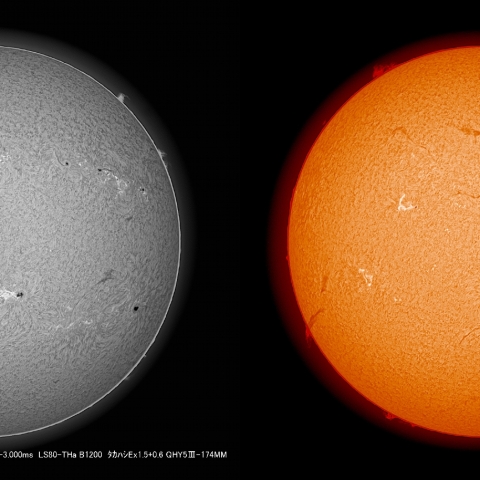 5/28 太陽 Ｈα  ﾌﾟﾛﾐﾈﾝｽ