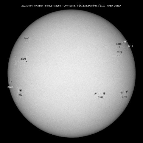 6/1 太陽 黒点