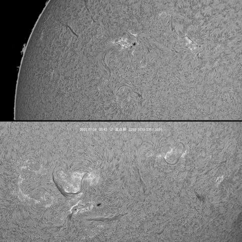 7/6 太陽 黒点群付近拡大