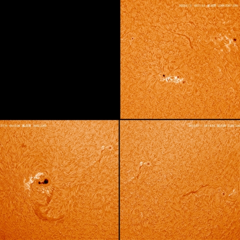 7/11 太陽黒点群付近拡大　