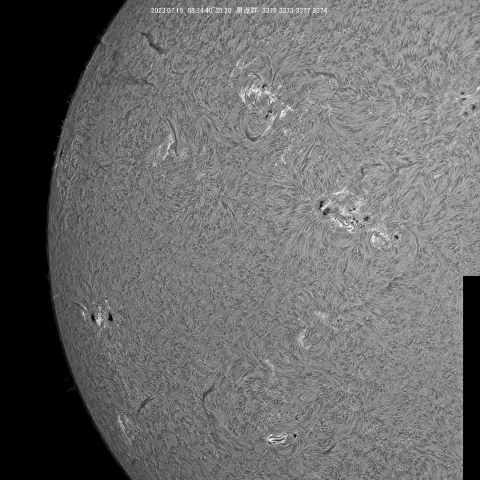 7/19 黒点群付近拡大