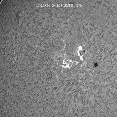 7/24の太陽黒点群付近拡大