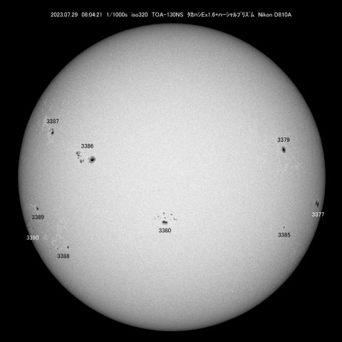 7/29 太陽黒点
