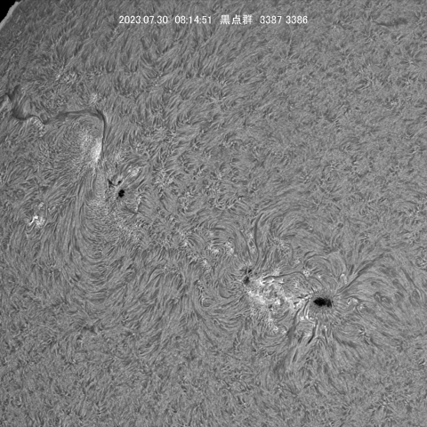 7/30 黒点群3387・86付近拡大