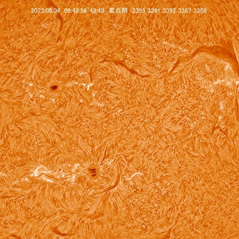 8/4  東西の黒点群拡大（n2合成）