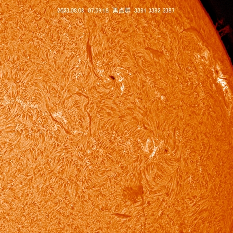 8/8  プロミネンス拡大