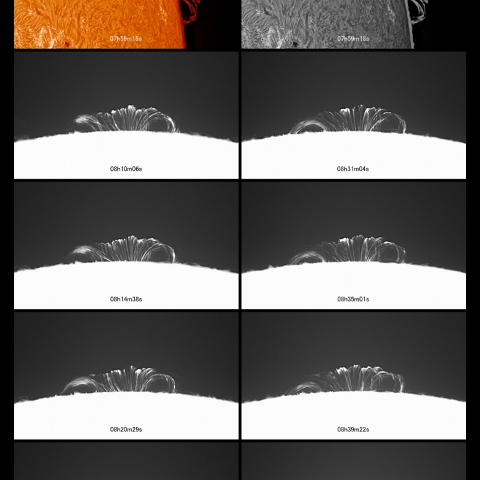 8/8  ﾙｰﾌﾟ・ﾌﾟﾛﾐﾈﾝｽ