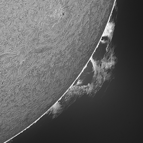 9/15 ﾌﾟﾛﾐﾈﾝｽ