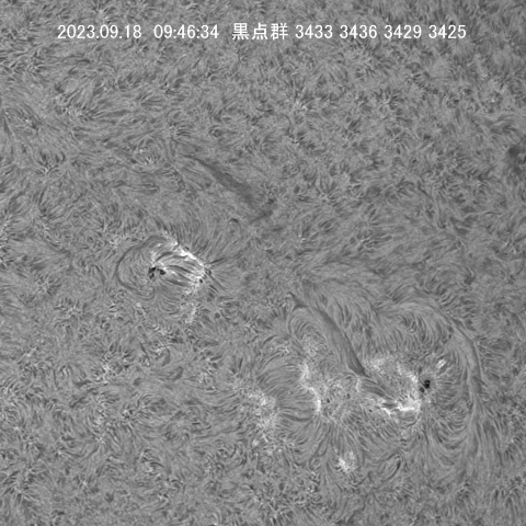 9/18  黒点群3433～3425付近