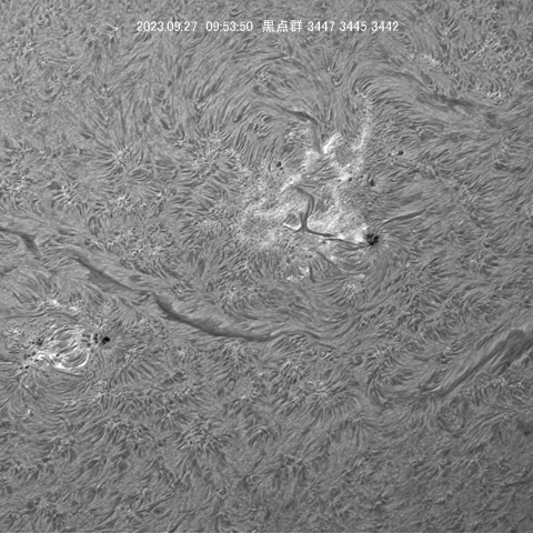 9/27　黒点群3447～3442付近