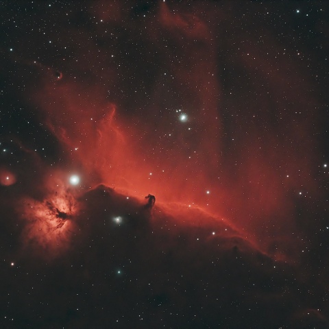 板橋区からの馬頭星雲