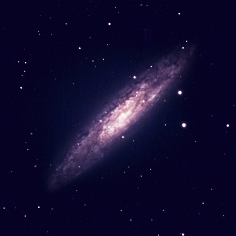 NGC253