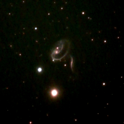Arp273