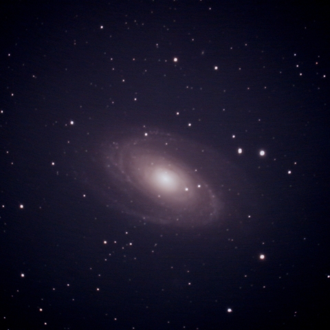 Ｍ81