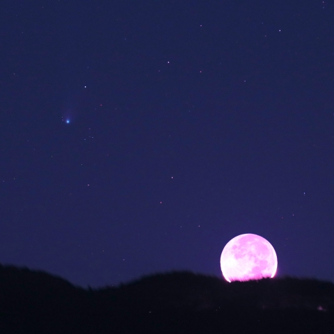 ポン・ブルックス彗星と月