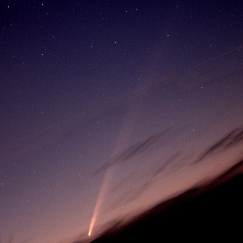 105ｍｍ写野いっぱいの紫金山・アトラス彗星