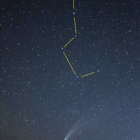 ネオワイズ彗星の大きさの目安