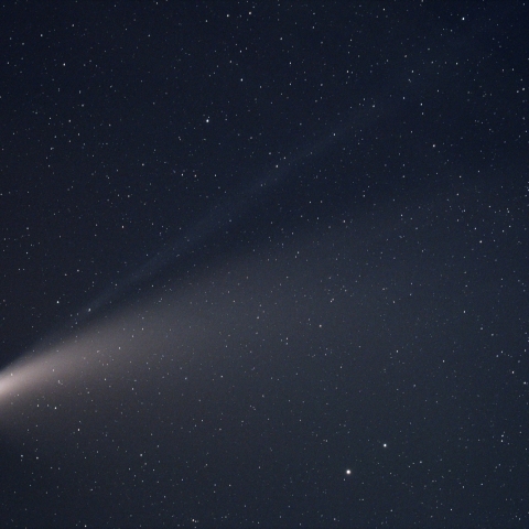 画角いっぱいのネオワイズ彗星