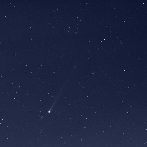 11月29日明け方のエラスムス彗星
