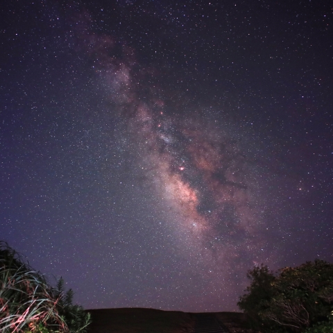 星降る岡展望所から